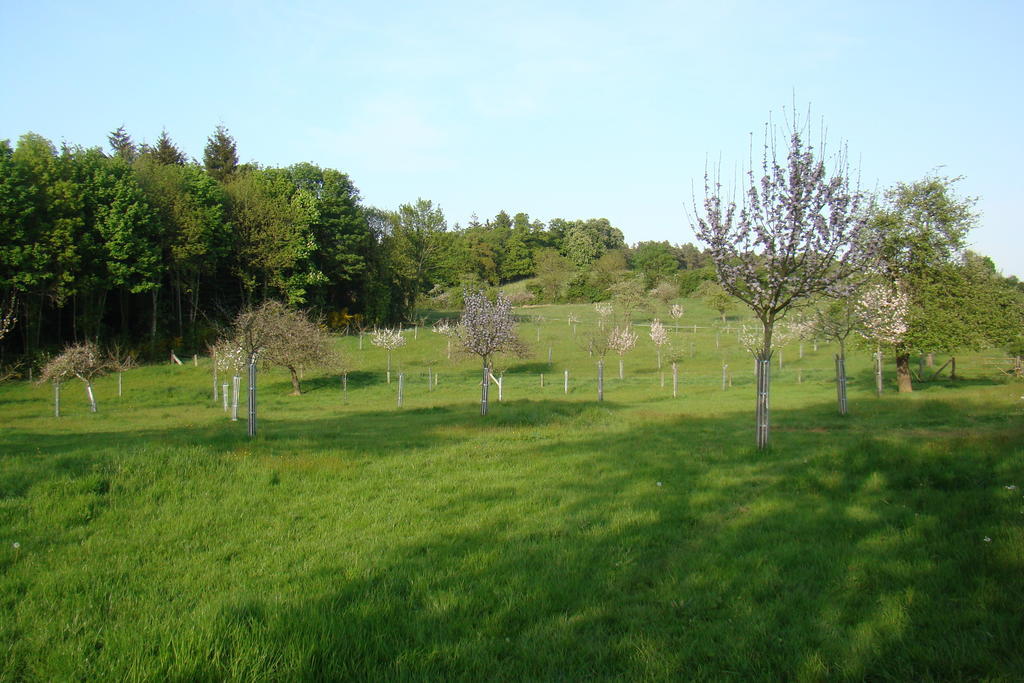 Gite De La Cour Campandré-Valcongrain Pokoj fotografie