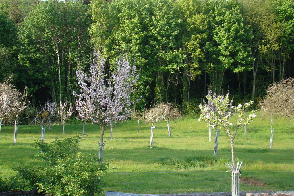 Gite De La Cour Campandré-Valcongrain Pokoj fotografie